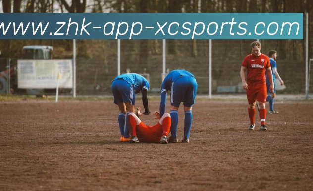 杏彩体育全站App