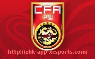 杏彩体育-法甲球员回顾与赛季表现全景式总结