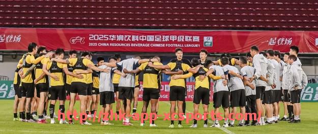 杏彩体育-穿耐克球衣的德甲球队名单及赞助时间